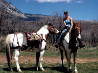 Trail Happenings, Moab Utah, Picture 1